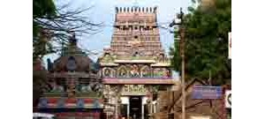 திருக்கடவூர் - காலரி